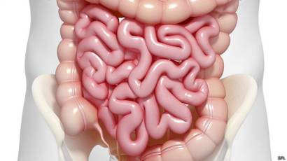 controlar el hambre mentalmente