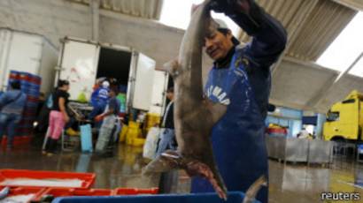 Pescado