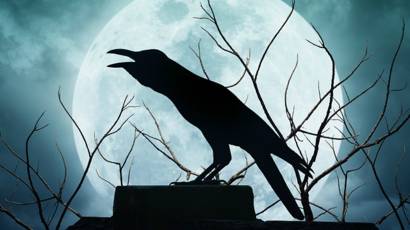 Gagak Burung Yang Takut Akan Kematian Bbc News Indonesia