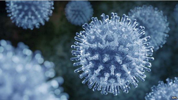 Imagen del virus de la