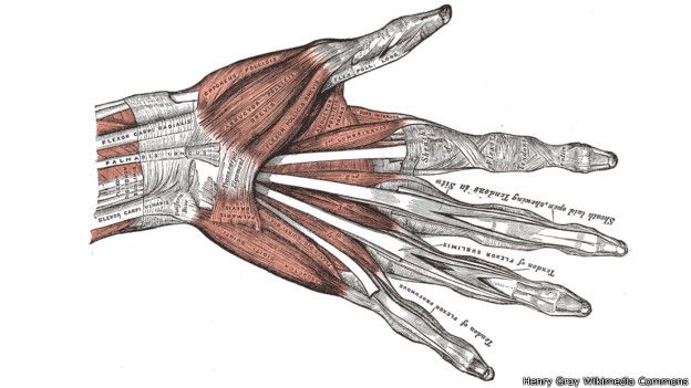 Mano