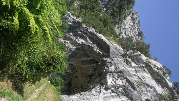 El Mirón