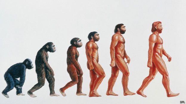 Evolución del ser humano