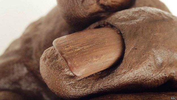 Fragmento del hombre de Cashel, una momia natural encontrada en un pantano de Irlanda.