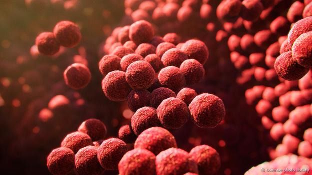 Las bacterias viven en nuestros pies y son las responsables del hedor. Bacterias