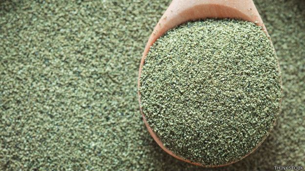 Las algas tienen en general un alto contenido en proteínas, una propiedad que las hace habituales en las dietas vegetarianas Algas en polvo