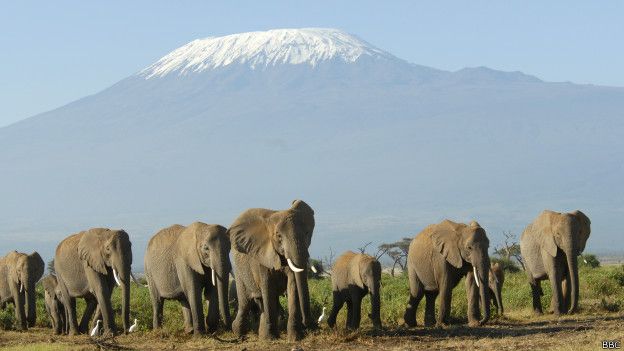 Kilimanjaro