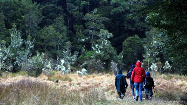 Paseando en el bosque