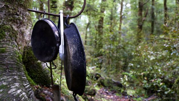 Ollas colgadas de un árbol