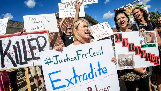 Protesta contra el dentista Walter Palmer por haber matado al leòn Cecil.