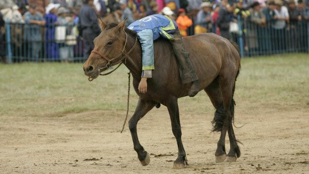 Un jinete exhausto en su caballo