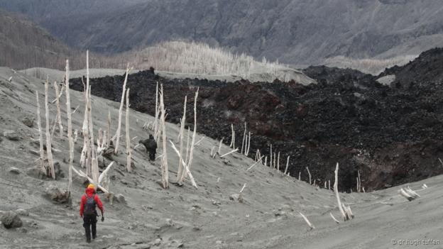 Un bosque destruido por la erupción del volcán patagónico