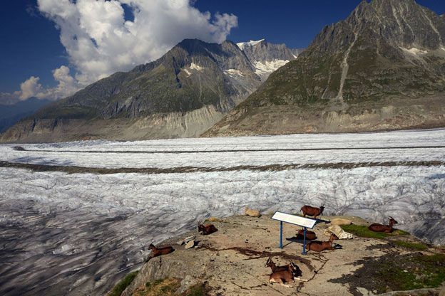 Glaciar Aletsch