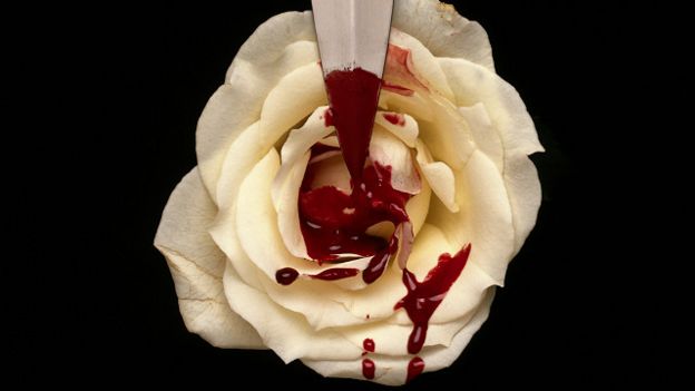 Rosa sangrienta