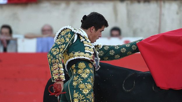 Torero