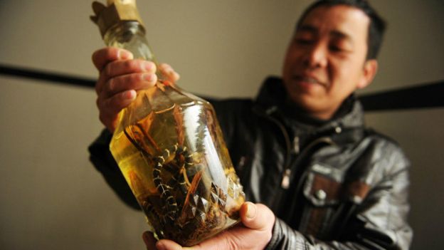 Un fabricante de vino de serpiente sostiene una botella en Zisiqiao, China