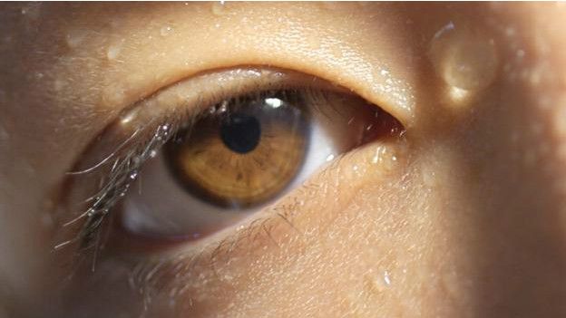 Un ojo