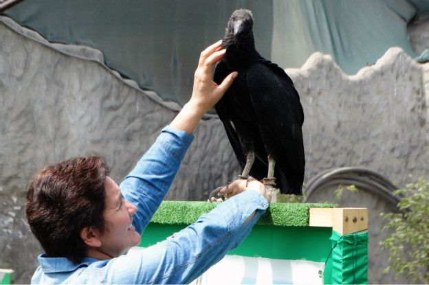 Letty Salinas y un gallinazo