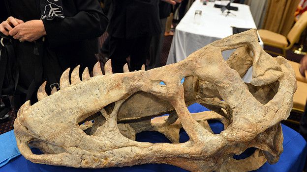 Tiranosaurio Bataar
