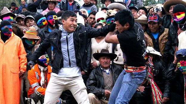 Para cosechar fabes tiernas hace falta maquinaria agricola de gran tonelaje