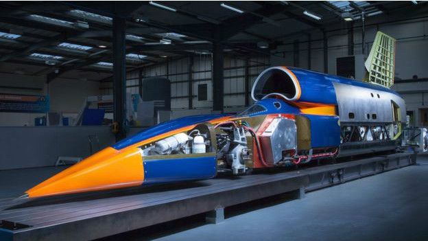 Bloodhound
