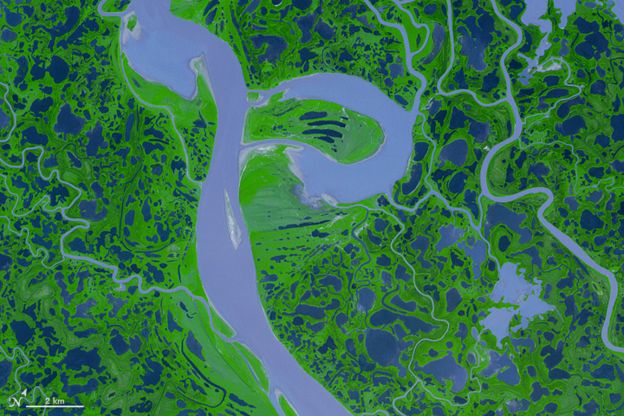 Delta del río Mackenzie, en Canadá. Foto: NASA