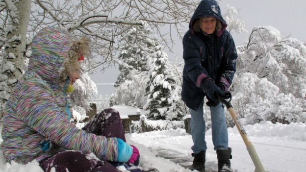 Nieve