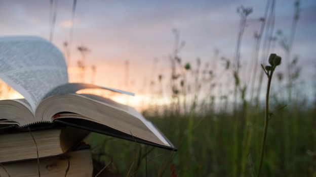Книжки та захід сонця
