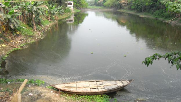 বেড়ি বাঁধের অন্যদিকে বড়ালের জল স্থবির। মশা-মাছির প্রজননক্ষেত্র।