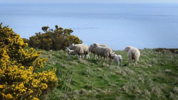 Tierra del National Trust