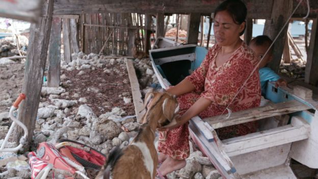 Warga memberi makanan pada Kambing di Pulau Bungin
