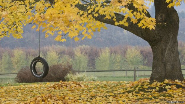 Imagen nostálgica de un columpio atado a un árbol con hojas de otoño