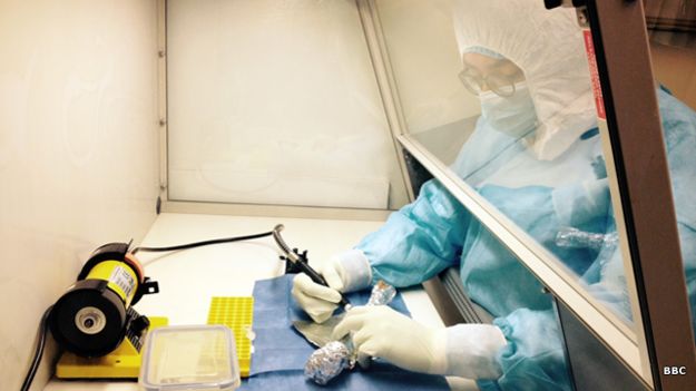 Freddy Rodríguez, laboratorio de ADN antiguo de Uniandes
