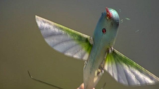 Los Aviones Espia No Tripulados Del Futuro Bbc News Mundo