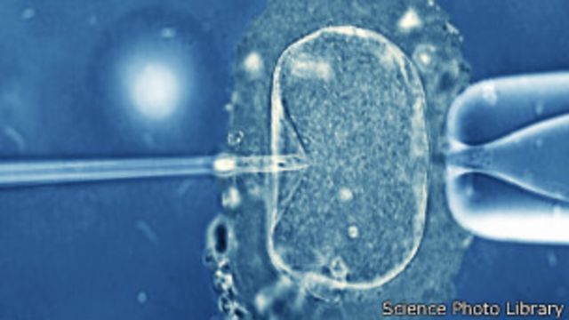 Reino Unido quiere fertilización in vitro con ADN de terceras personas