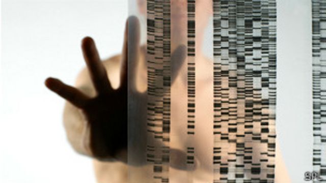Lanzan proyecto de estudio del ADN para buscar tratamiento contra el cáncer