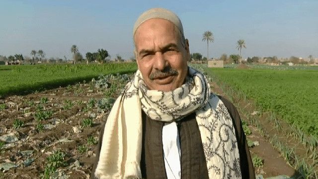 فلاح مصري