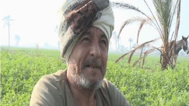 مواطن مصري