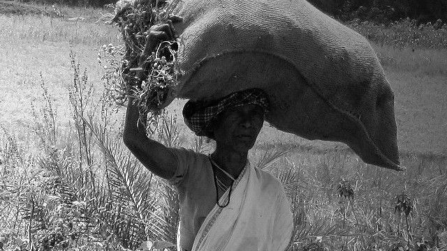 बीबीसी हिंदी, हिंदी समाचार, क़तार के आख़िरी, नोटा, bbc hindi, hindi news, news in hindi, nota, last mile