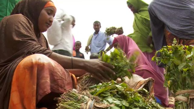 HRW iravuga ko abasirikare ba AMISOM bahohotera abanyasomaliyakazi