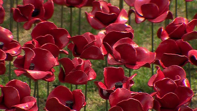 视频:伦敦塔陶瓷罂粟花海纪念一战