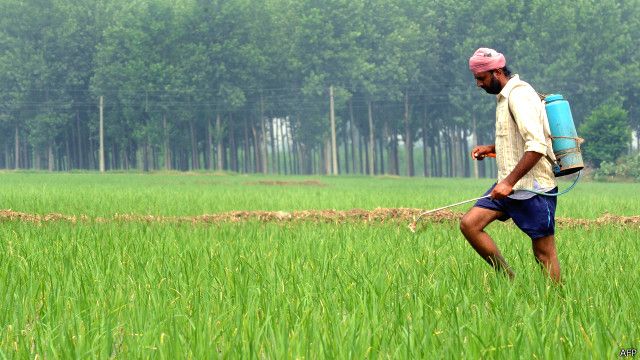 farmer_pesticide