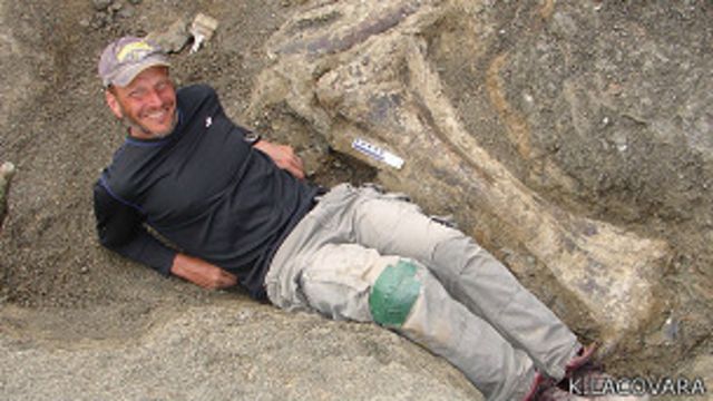 Descubren esqueleto fosilizado del dinosaurio más grande de la prehistoria
