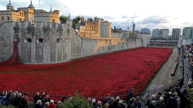 _poppies_promo_