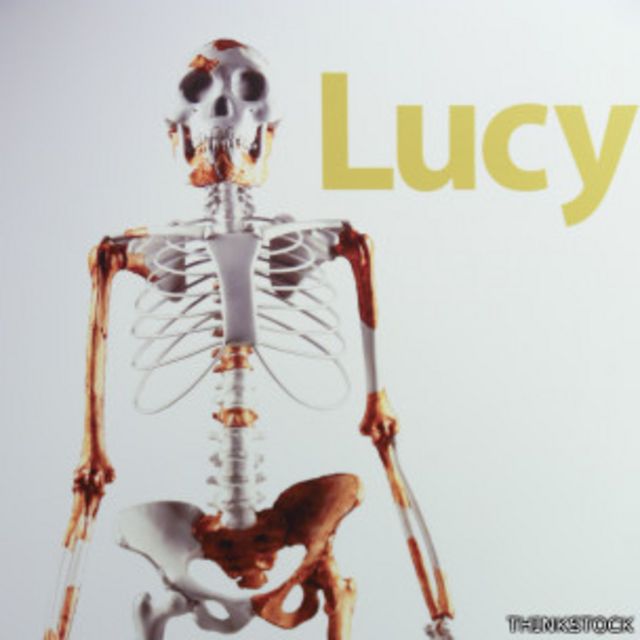 Lucy, el fósil que reescribió la historia de la evolución humana