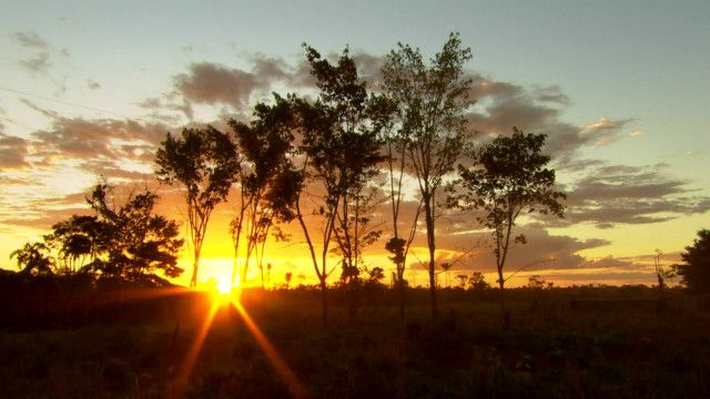 amazon_deforestation