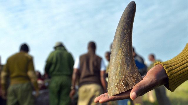_africa_