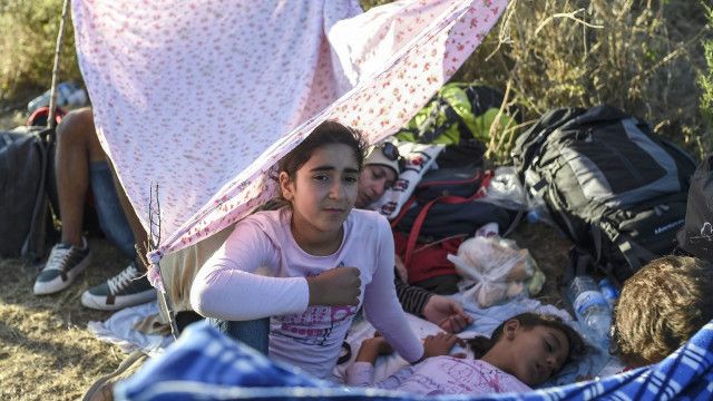 migrants