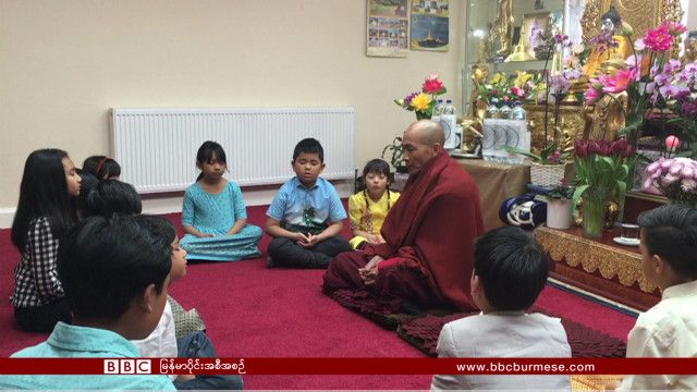 burmese_london