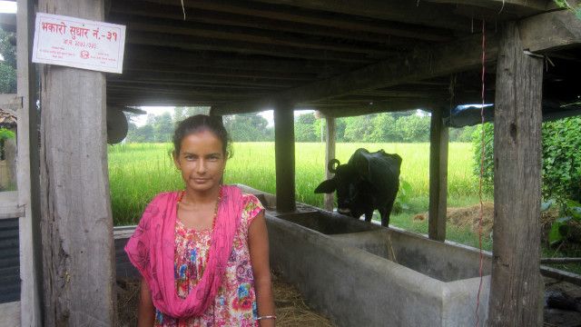 अर्गानिक खेती